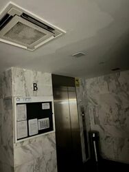 Lorong Marican (D14), Semi-Detached #591309891